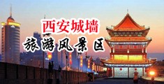 插进去爽a片中国陕西-西安城墙旅游风景区